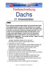 Dachs.pdf